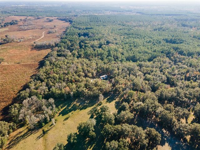 14600 NW 216TH PLACE, Micanopy, FL 32667