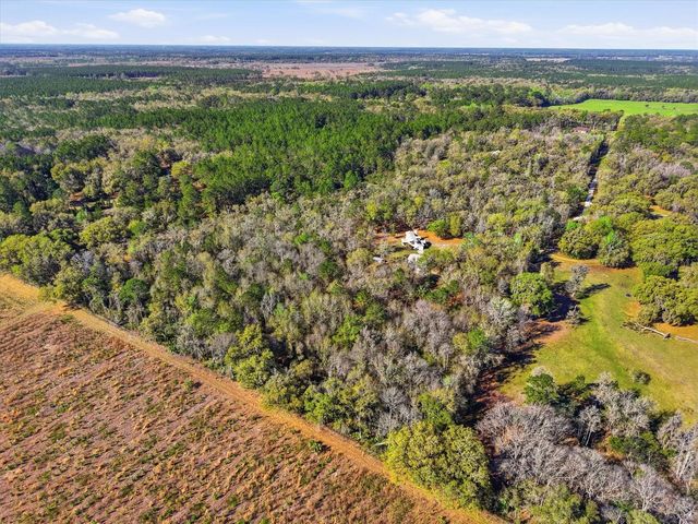 14600 NW 216TH PLACE, Micanopy, FL 32667