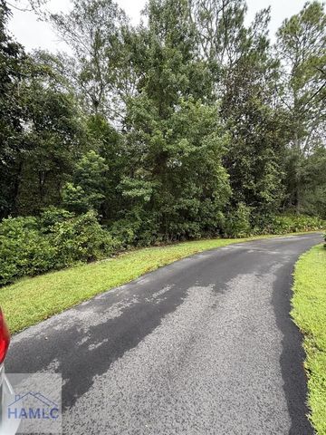 385 Hickory Street, Jesup, GA 31546