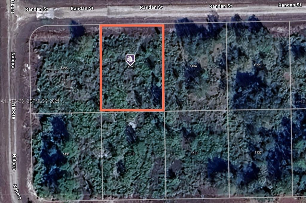 Image 1 of property listing at 1132 RANDAN STREET E, Lehigh Acres, FL 33974