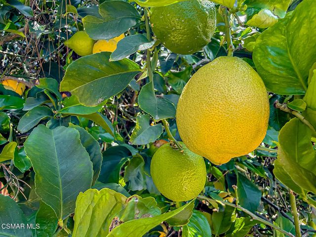 2153 Cook Circle, Thousand Oaks, CA 91360