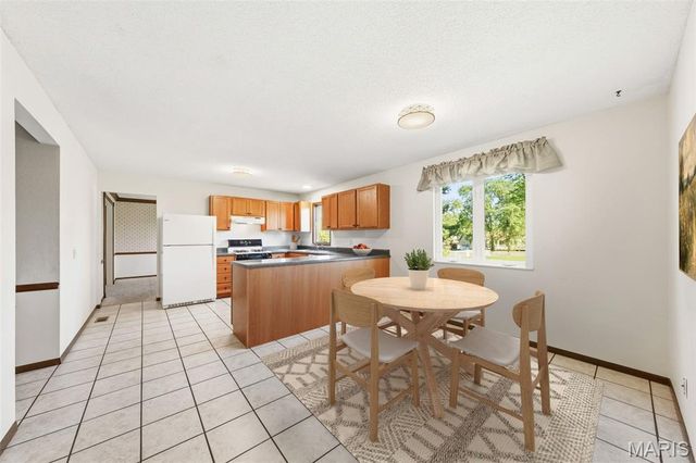 1007 Holly River Drive, Florissant, MO 63031