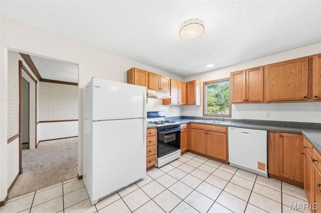 1007 Holly River Drive, Florissant, MO 63031