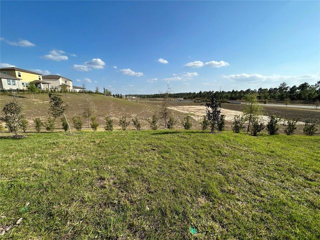 2249 MYSTIC MAZE LANE, Clermont, FL 34715