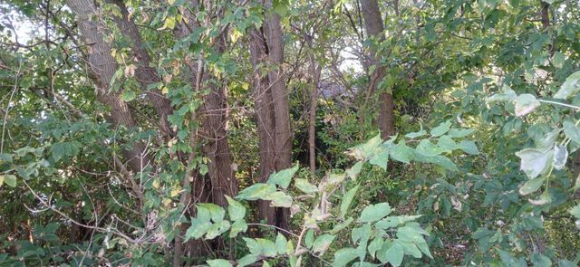 2345 E 21st Avenue, Gary, IN 46407