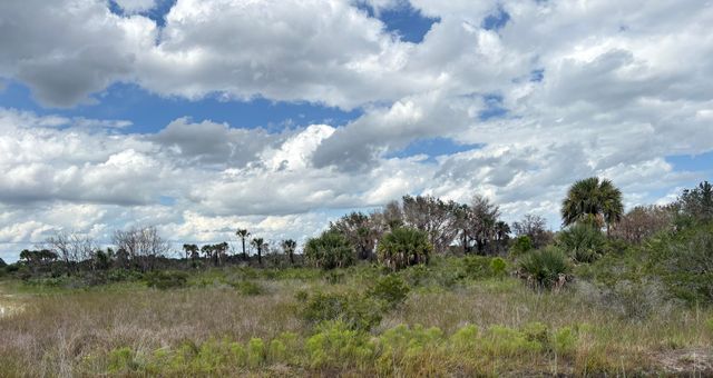 17275 NW 308th Street, Okeechobee, FL 34972
