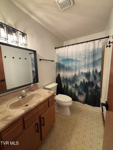 285 Brian Circle, Afton, TN 37616