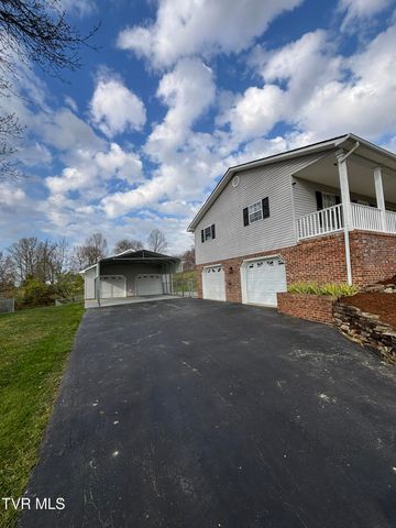 285 Brian Circle, Afton, TN 37616