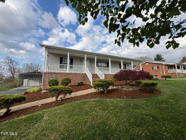 285 Brian Circle, Afton, TN 37616