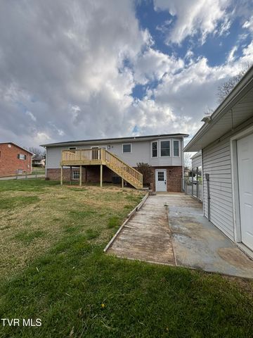 285 Brian Circle, Afton, TN 37616