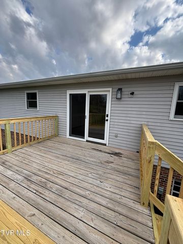 285 Brian Circle, Afton, TN 37616