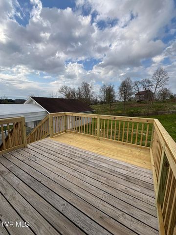285 Brian Circle, Afton, TN 37616