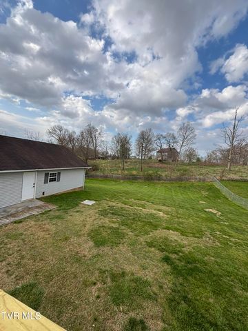 285 Brian Circle, Afton, TN 37616