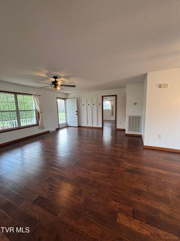 285 Brian Circle, Afton, TN 37616