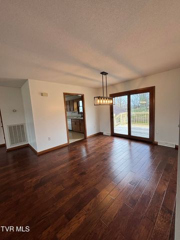 285 Brian Circle, Afton, TN 37616