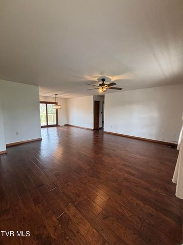 285 Brian Circle, Afton, TN 37616