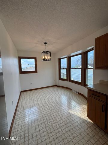 285 Brian Circle, Afton, TN 37616