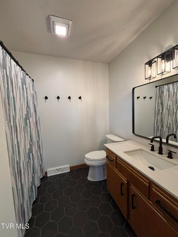 285 Brian Circle, Afton, TN 37616