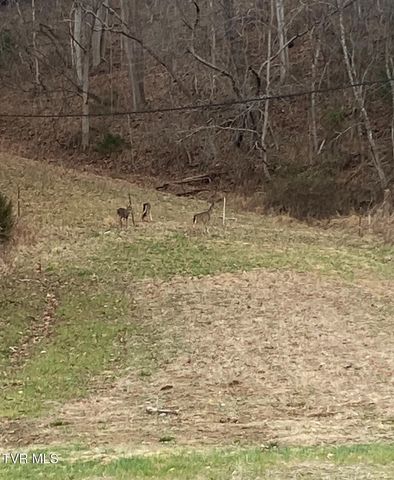 177 Helton Hollow Rd Road, Eidson, TN 37731