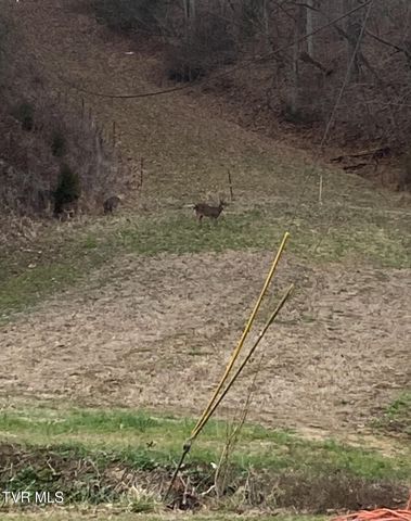 177 Helton Hollow Rd Road, Eidson, TN 37731