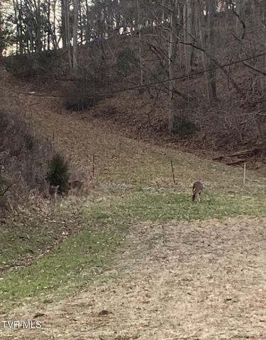 177 Helton Hollow Rd Road, Eidson, TN 37731