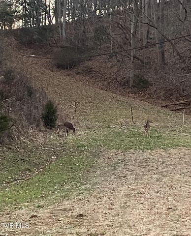 177 Helton Hollow Rd Road, Eidson, TN 37731