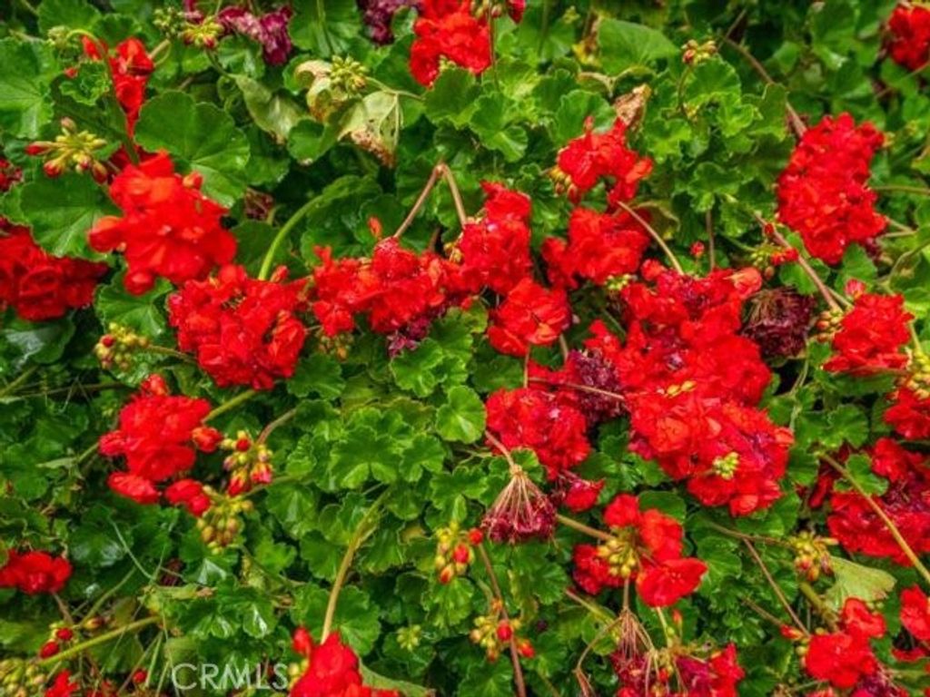 Image 70 of property listing at 1129 Dewsnup Avenue, Gridley, CA 95948