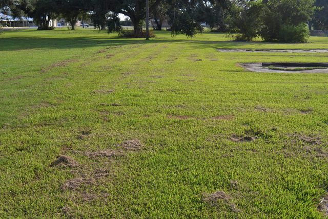 142 Oakridge Dr, Golden Meadow, LA 70357