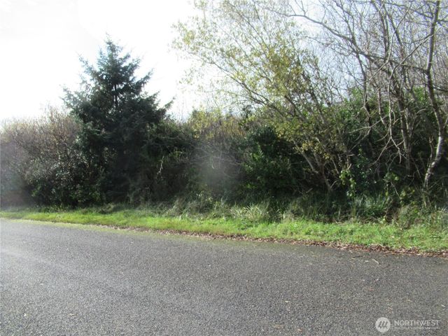 12 Driftwood Drive, Ocean Shores, WA 98569