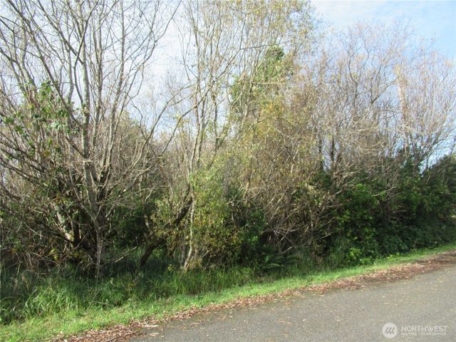 12 Driftwood Drive, Ocean Shores, WA 98569