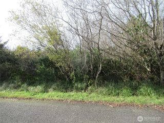 12 Driftwood Drive, Ocean Shores, WA 98569