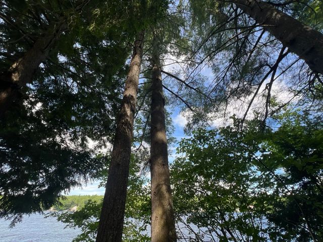 318 Sewell Shores Road, Lebanon, ME 04027