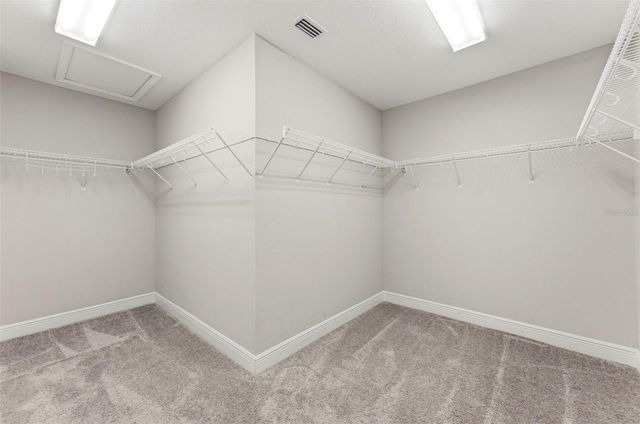 3940 MAURICE AVENUE, Odessa, FL 33556