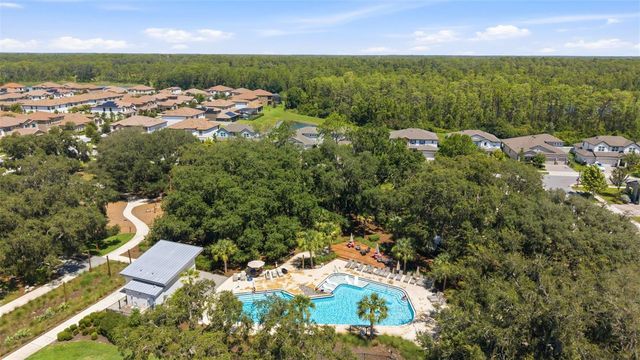 3940 MAURICE AVENUE, Odessa, FL 33556