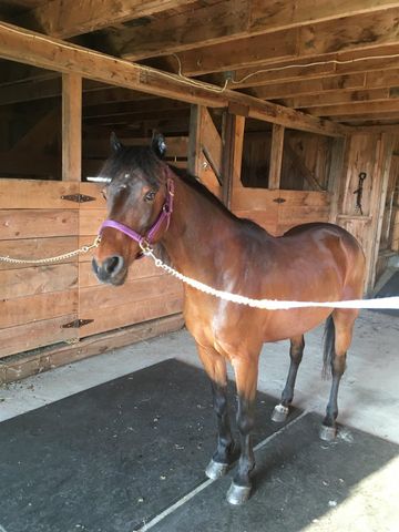 797 Golf Links Road, Colebrook, NH 03576