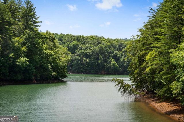 355 Old Camp Loop, Morganton, GA 30560