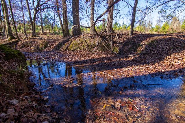 0 St. Paul Church Road, Shiloh, GA 31826