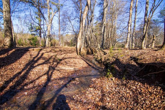 0 St. Paul Church Road, Shiloh, GA 31826