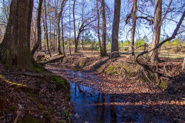 0 St. Paul Church Road, Shiloh, GA 31826