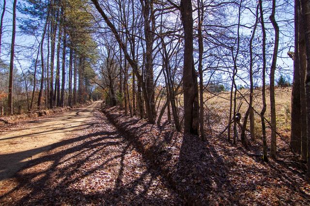 0 St. Paul Church Road, Shiloh, GA 31826