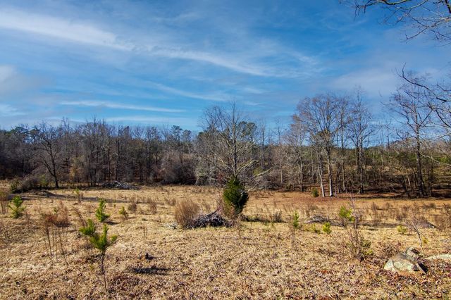 0 St. Paul Church Road, Shiloh, GA 31826