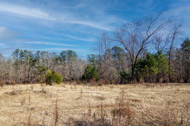 0 St. Paul Church Road, Shiloh, GA 31826