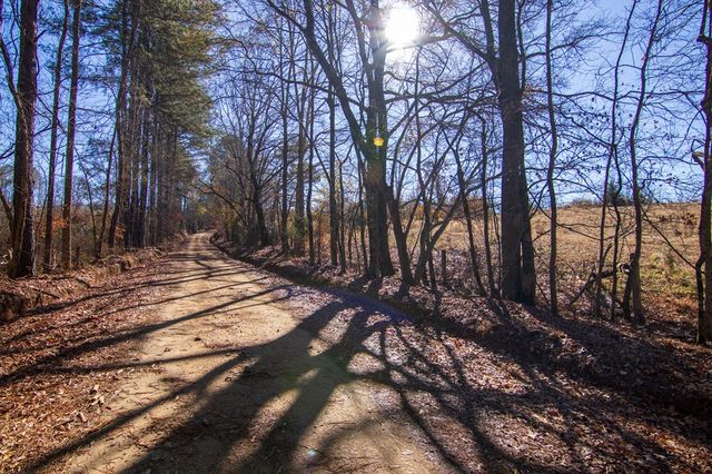 0 St. Paul Church Road, Shiloh, GA 31826