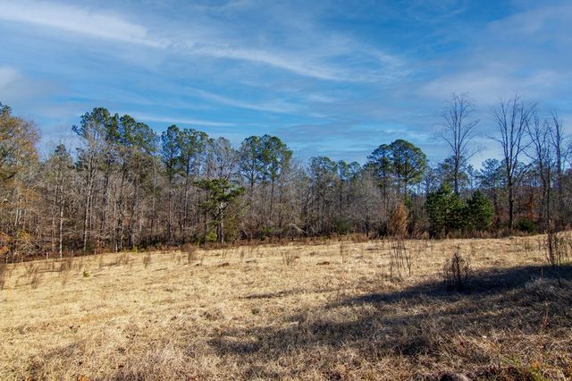 0 St. Paul Church Road, Shiloh, GA 31826