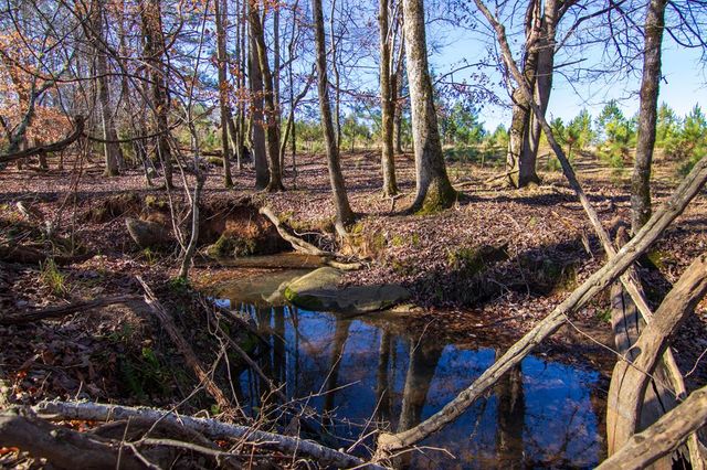 0 St. Paul Church Road, Shiloh, GA 31826