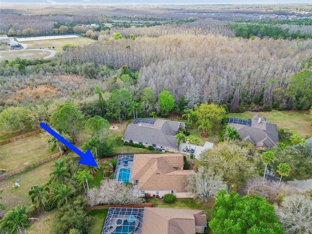 5506 CAMILLE COURT, Lutz, FL 33558