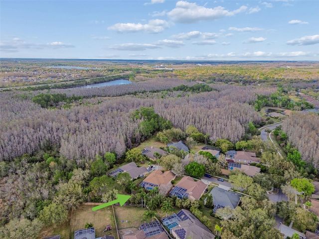 5506 CAMILLE COURT, Lutz, FL 33558