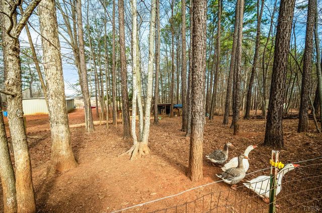 3105 Horseshoe Road, Appomattox, VA 24522