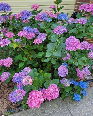 3105 Horseshoe Road, Appomattox, VA 24522