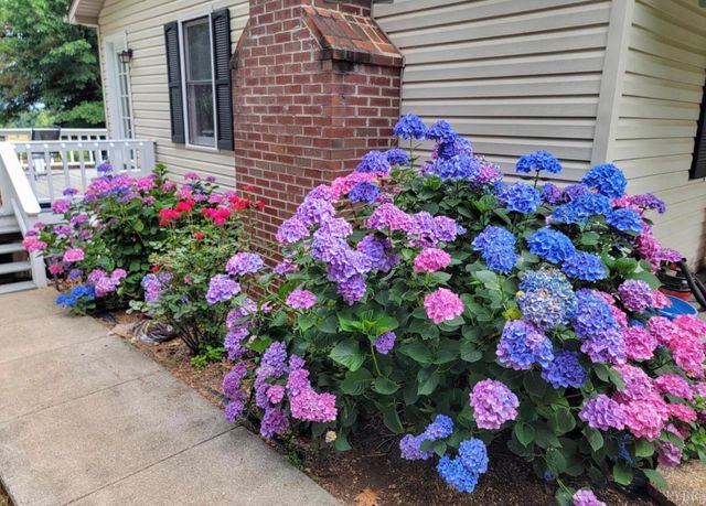 3105 Horseshoe Road, Appomattox, VA 24522